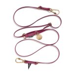 New! Water Resistant Adjustable 7ft Leash, Berry | Found My Animal